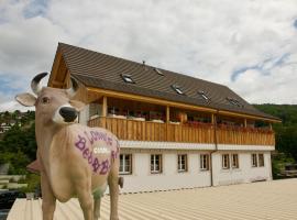 Conny's B&B, olcsó hotel Niederweningen városában