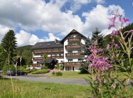 Hotel Thüringer Wald, hotell sihtkohas Ilmenau