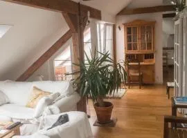 Private Apartment & Hannover City Altstadt