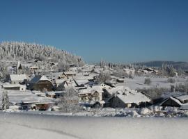 Pension Philippsreut "Zum Pfenniggeiger" Am Goldsteigwanderweg, casa de hóspedes em Philippsreut