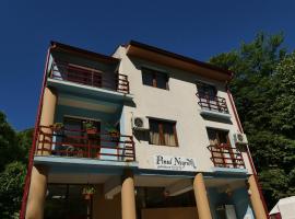 Pensiunea Pinul Negru, hotel a Băile Herculane