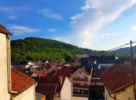 Ein Trip in die Natur, casa vacanze a Bollendorf