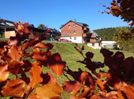 Ferienwohnung Elisabeth, hotel a Klingenthal