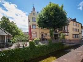 Badischer Hof, hotel v destinaci Bühl