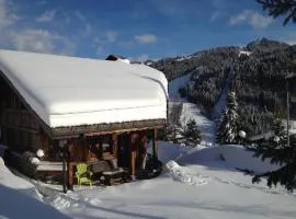 Chalet Camomille