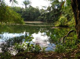 Rainforest Eco Lodge, hotel v mestu Suva