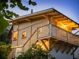 House Gabrijel with four seasons outdoor kitchen