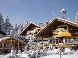 Arber Alm, hotel v mestu Bayerisch Eisenstein