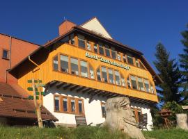 Hotel Zum Schneekopf "Garni", hotel en Gehlberg