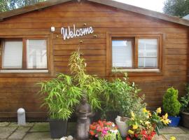 West View Lodge, cabin in Basingstoke