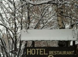 Hotel del Tarter, viešbutis mieste El Tarter