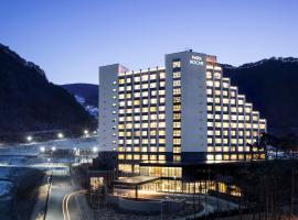 PARK ROCHE Resort & Wellness, hotel con piscina a Jeongseon