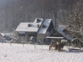 古班尼克公寓，位于戈雷尼斯卡地区采尔克列的旅馆