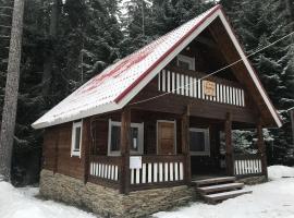 Chalet Sofia, шале у місті Боровец