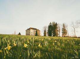 Hôtel de la Chaux-d'Abel, готель у місті La Ferrière