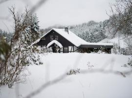 Romantikhütte Neuastenberg, отель в Винтерберге