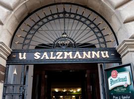 Hotel U Salzmannů, hotel v Plzni