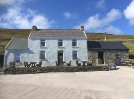 Old Irish farmhouse, hotel v Dinglu