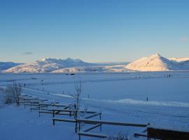 Brunnholl Country Guesthouse, hotel en Höfn