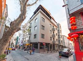 Hotel Fehmi Bey - Special Category, hotel u İstanbulu