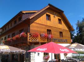 Penzion Planicka, hotel in Černá v Pošumaví