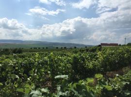 Wineyards Salin, hotell i Turda