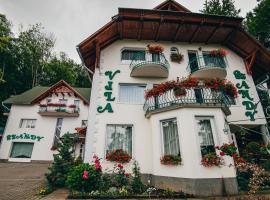 Szandy, hotel u gradu Sovata