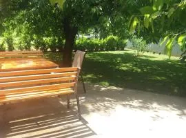 Apartment Garden