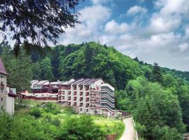 Hotel Dobru, viešbutis su baseinais mieste Slănic-Moldova