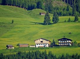 Ferienhaus Hochwimmer, hôtel à Hollersbach im Pinzgau