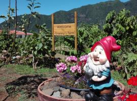 Granny's farm, glamping site sa São Vicente