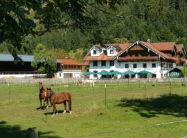 Gutshof zum Schluxen, apartamento en Pinswang