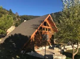 Chalet in the Forest