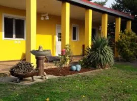 Bungalow at Lake Alte Donau