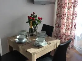 Apartament Pod sanockim zamkiem