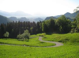 Vaznik Farm House Apartments, hotel na Bledu