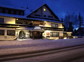 Hotel Schneider, hotel di Winterberg