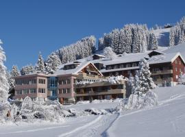 Ferien- und Familienhotel Alpina Adelboden, viešbutis mieste Adelbodenas