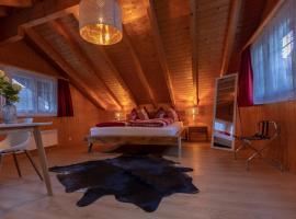 Chalet Wäschhüsli near Interlaken, Grindelwald and Lauterbrunnen، فندق في غستيغفيلر