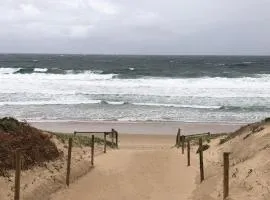 Beachfront Living Cronulla