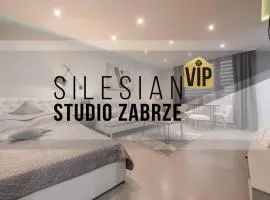 Studio Silesian Vip