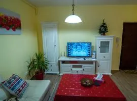 Apartament Mircea