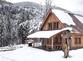 Dolomiti Village, hotel em Comeglians