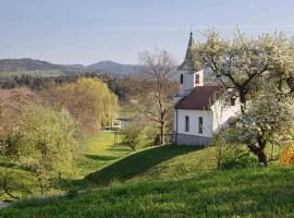 Willi's Bauernhof, хотел, който приема домашни любимци, в Leiben