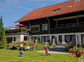 Mein Vierjahreszeiten Hotel Garni Superior, hotel en Sankt Andreasberg