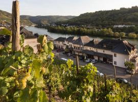 Hotel garni "Café im Hamm", hotel en Zell