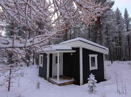 Arctic Island - Remote island, reachable only by boat or snowmobile: Kurravaara şehrinde bir orman evi