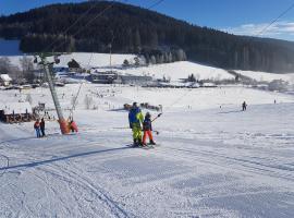 Ferienwohnung am Schneeberg, hôtel avec piscine à Titisee-Neustadt