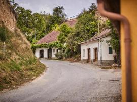 Schmankerl und Gast, bed & breakfast kohteessa Rohrendorf bei Krems