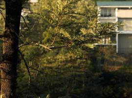 Falcon Crest, letovišče v mestu Vagamon